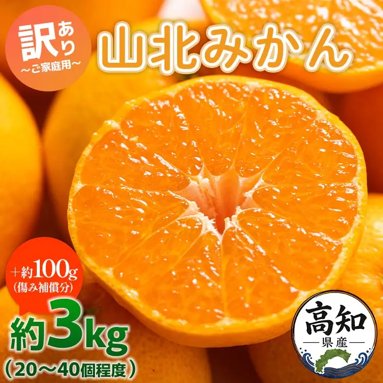 訳あり 山北みかん 3kg みかん yk-0063