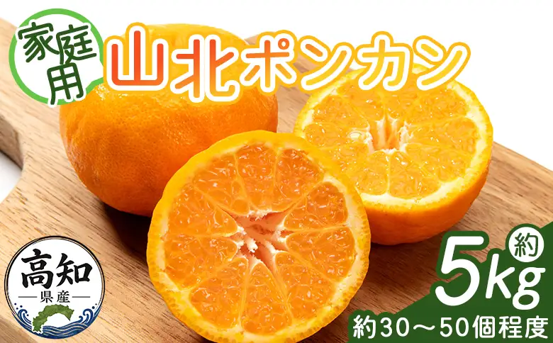 ぽんかん 山北ポンカン 5kg(約30～50個程度) 訳あり【2026年1月中旬から順次配送】 yk-0081