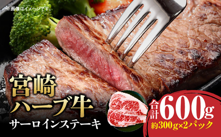 宮崎ハーブ牛サーロインステーキ 合計600g ハーブ牛 ステーキ