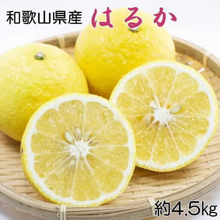 〈2027年2月下旬頃より順次発送〉はるかみかん 約4.5kg サイズ混合 秀品 みかん［TM162］