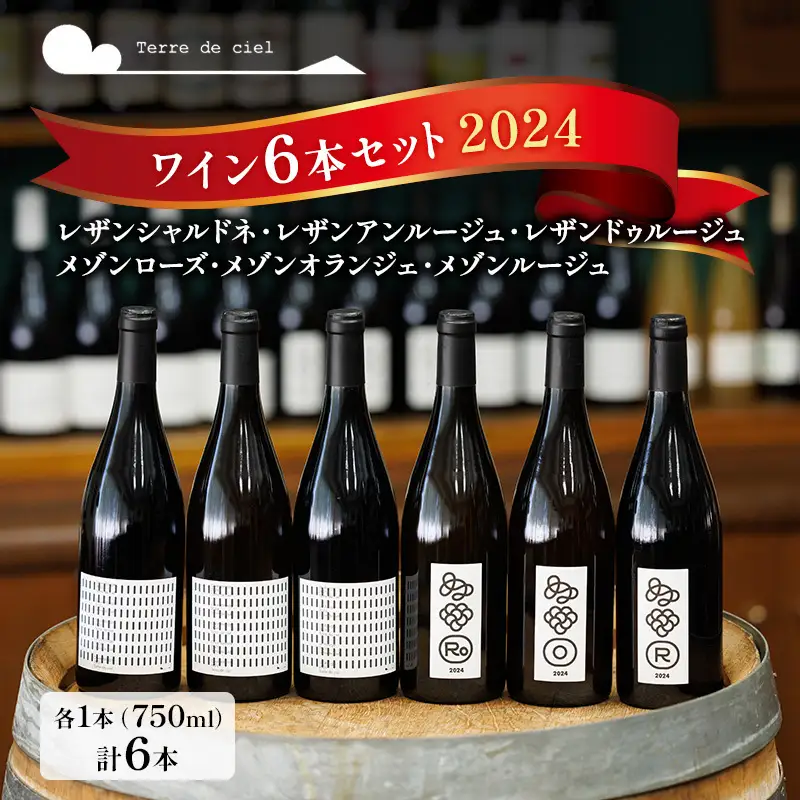 テールドシエル ワイン 750ml 6本 セット 赤ワイン 白ワイン 酒 アルコール ギフト プレゼント