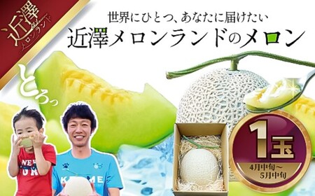 【先行予約】メロン 1玉入（約1.4kg〜1.8kg）青肉 〈2027年4月上旬〜5月中旬頃発送〉 メロン めろん マスクメロン 舐瓜 果物 くだもの フルーツ デザート 旬 ハウス栽培【株式会社とさもん】[BQAE024]