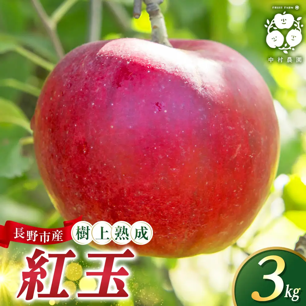 フルーツファーム中村農園　【9月中旬発送 先行予約】樹上熟成　紅玉 3kg | りんご 紅玉  加工用