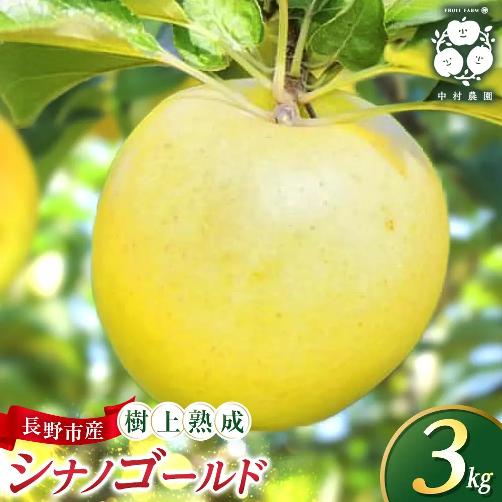 フルーツファーム中村農園　【10月中旬発送 先行予約】樹上熟成　シナノゴールド 3kg | りんご シナノゴールド 樹上熟成 りんご