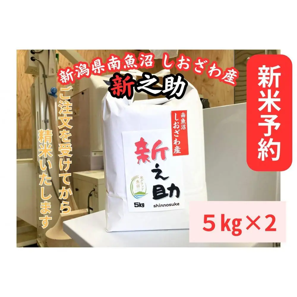 【令和8年産・新米予約】新潟県南魚沼産　新之助　10kg　大粒でツヤがあるこれまでにないお米【銘柄米 ブランド米 精米 新之助 魚沼産 新潟米 産地直送 お米 米 こめ コメ】【2026年10月中旬より1ヶ月以内に順次発送予定】