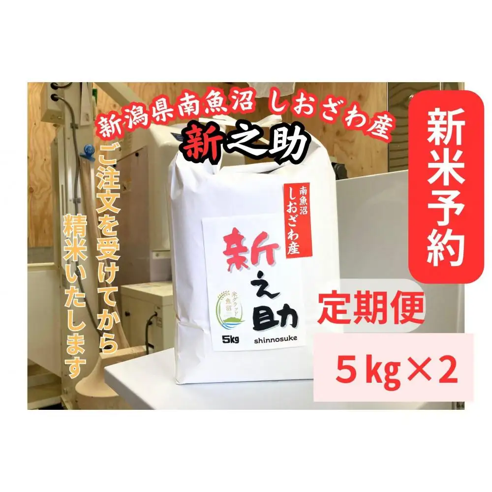 【令和8年産・新米予約・定期便】新潟県南魚沼産　新之助　10kg×12か月　大粒でツヤがあるこれまでにないお米【定期便 銘柄米 ブランド米 精米 新之助 魚沼産 新潟米】【2026年10月中旬より1ヶ月以内に順次発送予定】
