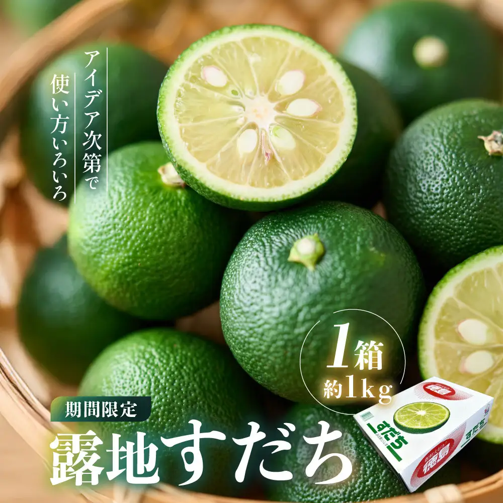 露地すだち 1箱（約1kg） 先行予約 ｜すだち