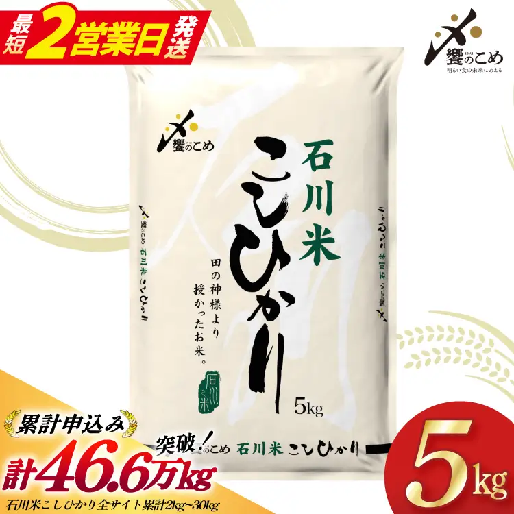 【最短2営業日発送】 令和7年 米 こしひかり 5kg 白米 石川米