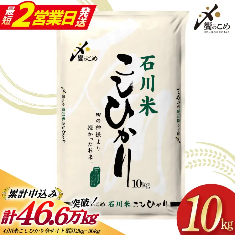 【最短2営業日発送】米 精米 令和7年産 コシヒカリ 10kg 白米 石川米