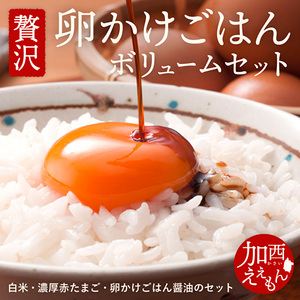 卵かけごはんセット お米 醤油 加西えぇもん 卵かけごはんセット