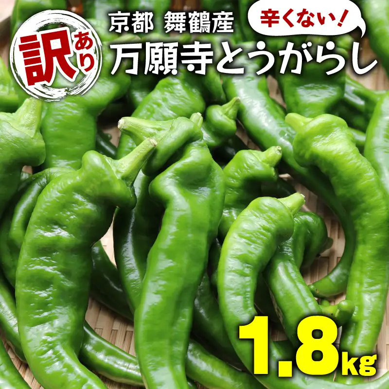 【5月中旬～11月下旬発送】 訳あり 万願寺とうがらし 1.8kg (900g×2箱) 