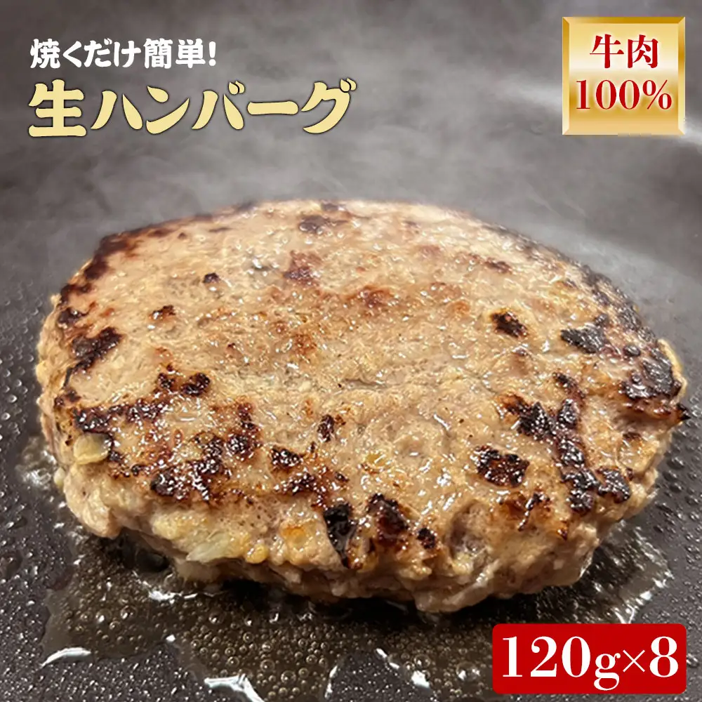 オリーブ牛100%ハンバーグ120g×8