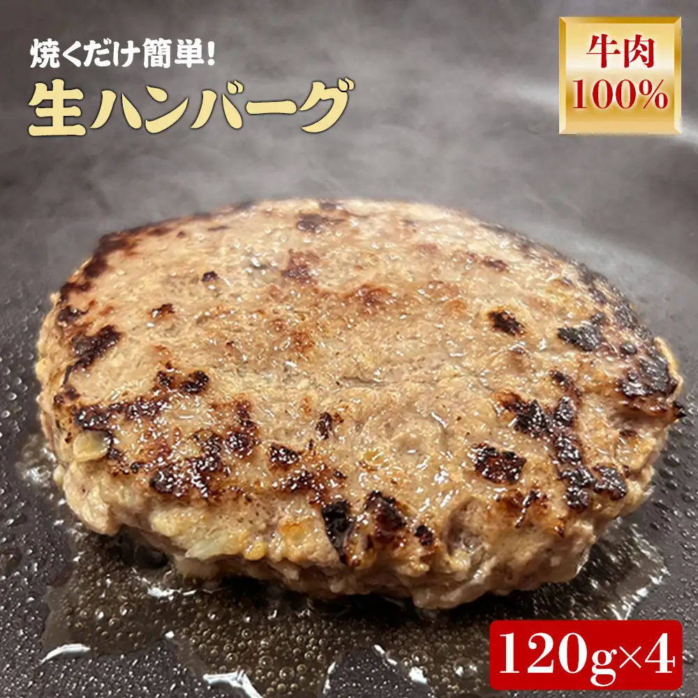 オリーブ牛100%ハンバーグ120g×4