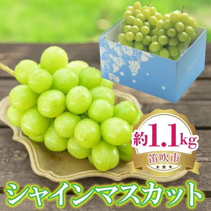 【2026年発送★先行予約】シャインマスカット 約1.1kg 222-008-1-26y | シャインマスカット 発送 笛吹市 山梨県 フルーツ 果物 ぶどう 葡萄 大粒 おすすめ 贈答 ギフト 産地 山梨 笛吹 国産 人気 先行 予約