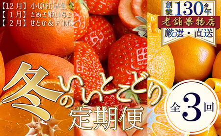 【全3回】冬のいいとこどり定期便（12・1・2月発送） 
