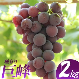 巨峰 約2kg 【simo0001】