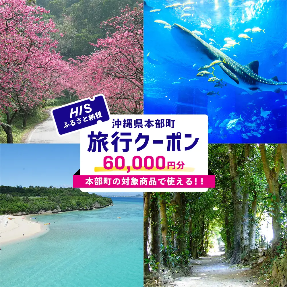 【沖縄県本部町】HISふるさと納税旅行クーポン 60,000円分