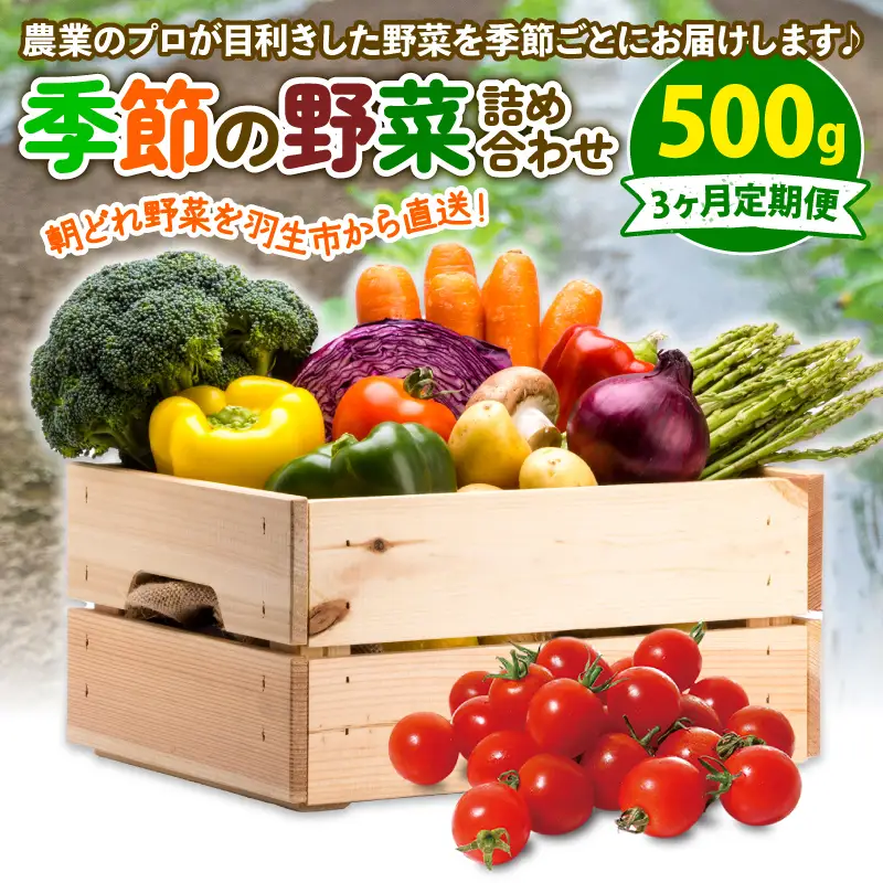定期便 季節 野菜 詰め合わせ 500g 3ヶ月 連続お届け 果物 産地直送 朝どれ 詰め合わせ とれたて 濃厚 ごほうびとまと 風の子ファーム ﾌﾙｰﾂﾄﾏﾄ ほうれんそう 白菜 ｷｬﾍﾞﾂ ﾌﾞﾛｯｺﾘｰ そら豆 ﾔﾝｸﾞｺｰﾝ とうもろこし ﾔﾝｸﾞｺｰﾝ 唐辛子 ﾊﾟﾌﾟﾘｶ 水 ﾅｽ ｵｸﾗ ｷｭｳﾘ ｶﾘﾌﾛｰﾚ 埼玉県 羽生市