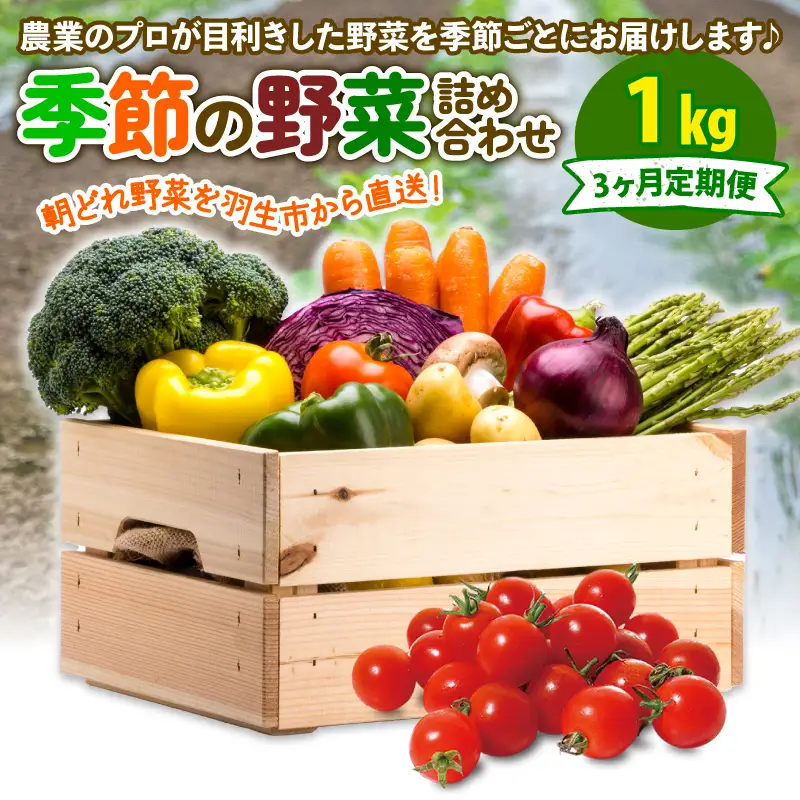 定期便 季節 野菜 詰め合わせ 1kg 3ヶ月 連続お届け 果物 産地直送 朝どれ 詰め合わせ とれたて 濃厚 ごほうびとまと 風の子ファーム ﾌﾙｰﾂﾄﾏﾄ ほうれんそう 白菜 ｷｬﾍﾞﾂ ﾌﾞﾛｯｺﾘｰ そら豆 ﾔﾝｸﾞｺｰﾝ とうもろこし ﾔﾝｸﾞｺｰﾝ 唐辛子 ﾊﾟﾌﾟﾘｶ 水 ﾅｽ ｵｸﾗ ｷｭｳﾘ ｶﾘﾌﾛｰﾚ 埼玉県 羽生市