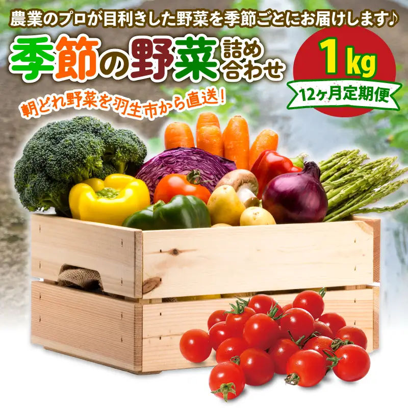 定期便 季節 野菜 詰め合わせ 1kg 12ヶ月 連続お届け 果物 産地直送 朝どれ 詰め合わせ とれたて 濃厚 ごほうびとまと 風の子ファーム ﾌﾙｰﾂﾄﾏﾄ ほうれんそう 白菜 ｷｬﾍﾞﾂ ﾌﾞﾛｯｺﾘｰ そら豆 ﾔﾝｸﾞｺｰﾝ とうもろこし ﾔﾝｸﾞｺｰﾝ 唐辛子 ﾊﾟﾌﾟﾘｶ 水 ﾅｽ ｵｸﾗ ｷｭｳﾘ ｶﾘﾌﾛｰﾚ 埼玉県 羽生市