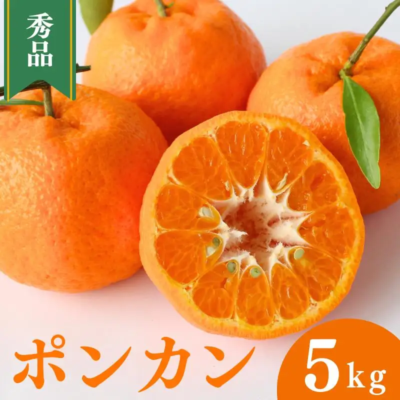 【先行予約】ポンカン【秀品】5kg ※2027年1月中旬～2月下旬頃に順次発送予定【期間限定・数量限定】 / ぽんかん 柑橘 季節限定 お取り寄せ 産地直送 贈答品 ギフト 果物 フルーツ 田辺市 和歌山県【ymh001】