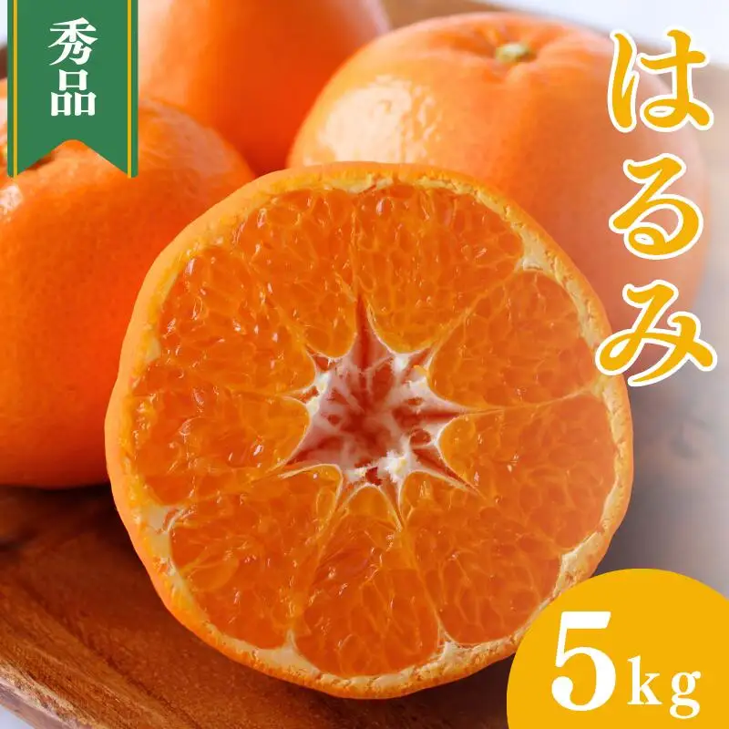【先行予約】はるみ【秀品】5kg ※2027年2月上旬～3月上旬頃に順次発送予定【期間限定・数量限定】 / 柑橘 季節限定 お取り寄せ 産地直送 贈答品 ギフト 果物 フルーツ 田辺市 和歌山県【ymh002-1】