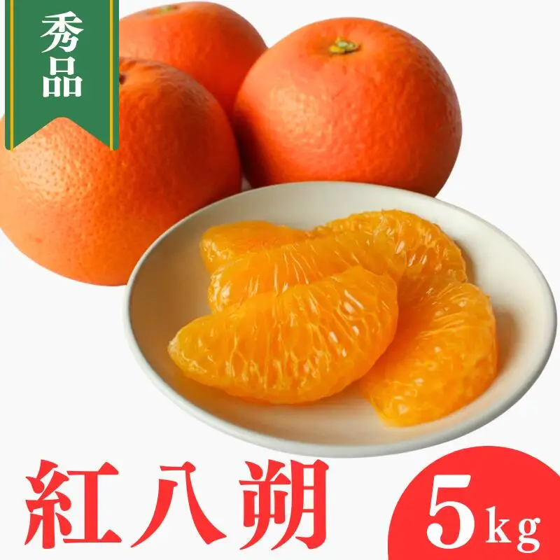 【先行予約】紅八朔【秀品】5kg ※2027年2月中旬～3月中旬頃に順次発送予定【期間限定・数量限定】 / はっさく ハッサク 柑橘 季節限定 お取り寄せ 産地直送 贈答品 ギフト 果物 フルーツ 田辺市 和歌山県【ymh003-1】