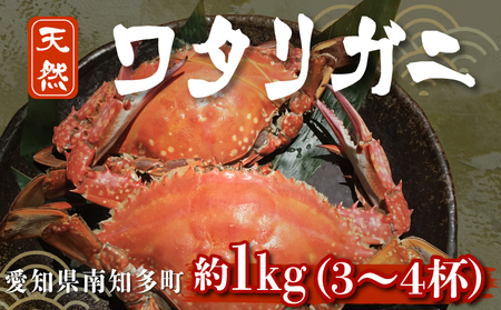 訳あり ボイル ワタリガニ 1kg ( 3~4杯 ) 茹で 愛知県 南知多町 人気 おすすめ 【離島不可】