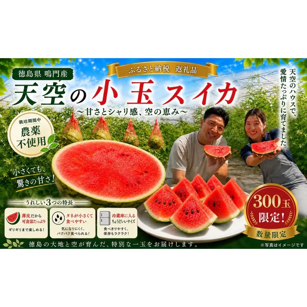 【予約受付中・7月下旬以降順次発送】 天空のスイカ 【数量限定】 すいか 西瓜 小玉スイカ 栽培期間中農薬不使用　鳴門　 甘い 小玉 果物  フルーツ ギフト 人気商品  敬老の日 　スイカ