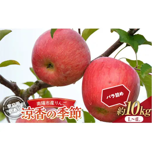 【令和8年産先行予約】 〈訳あり品 家庭用〉 りんご 「涼香の季節」 約10kg (28～40玉) バラ詰め 《令和8年9月下旬～発送》 『マルタニ農園』 リンゴ 山形県 南陽市 [1917]