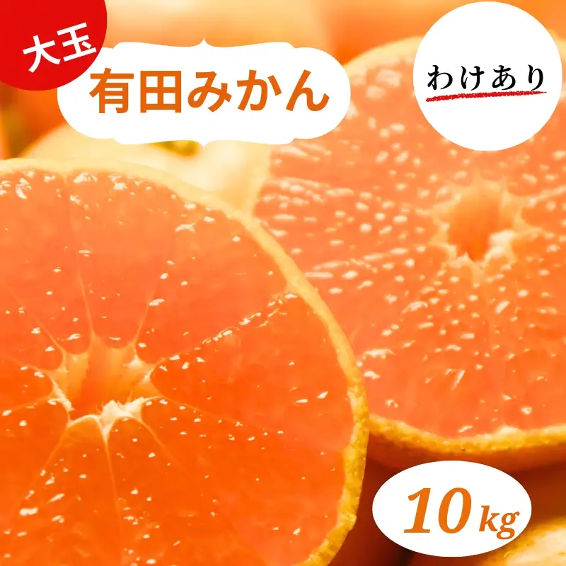和歌山県産 有田みかん 大玉10kg 2L～3L 訳あり　※2026年10月中旬~2027年1月中旬頃に順次発送予定（お届け日指定不可）【ミカン 有田みかん 和歌山 有田 訳あり】【smt009】