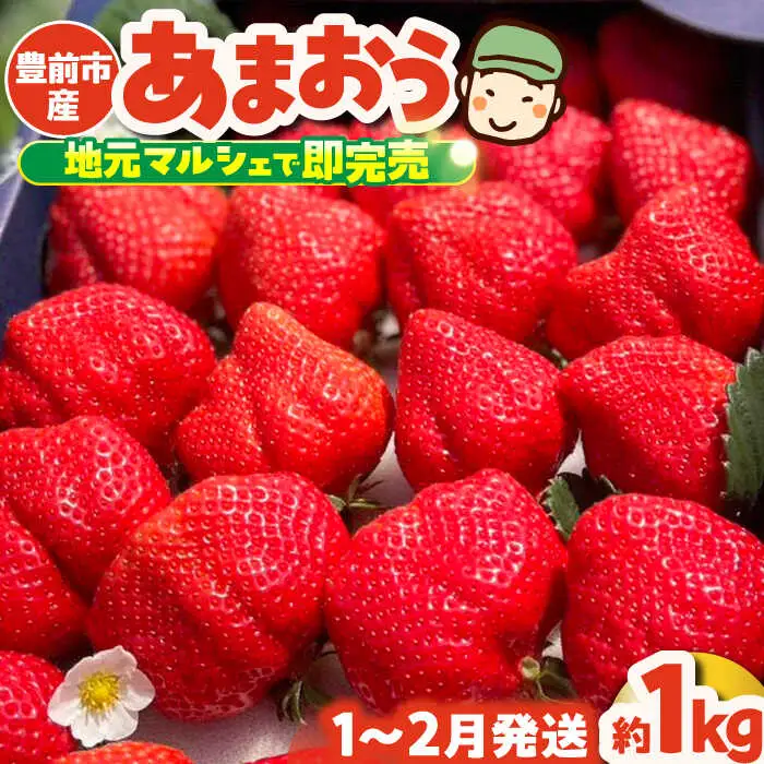 【先行予約】津田くん農園のあまおう 1kg VDG001 あまおう