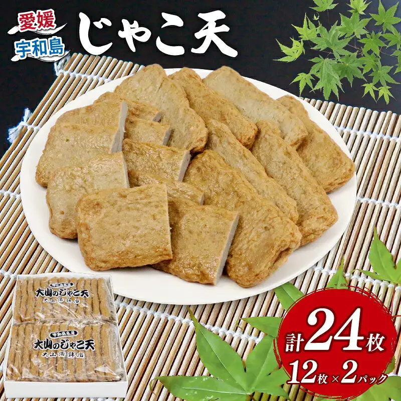 練り物 じゃこ天 24枚 大山かまぼこ店 練り物 C010-007002