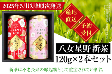 【予約返礼品/2025年5月以降順次発送】新茶 八女星野茶 120g×2本 緑茶 八女茶 お茶 茶葉 セット お取り寄せグルメ お取り寄せ 福岡 お土産 九州 福岡土産 取り寄せ グルメ 福岡県