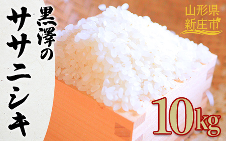 【令和7年産】 黒澤のササニシキ 10kg 米 お米 おこめ 山形県 新庄市 F3S-2831 18,750円