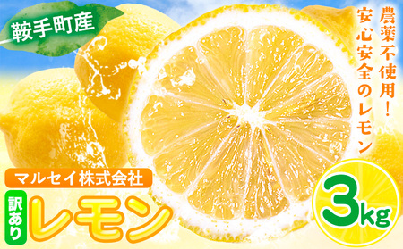 レモン 訳あり 3kg 株式会社まるせい農園