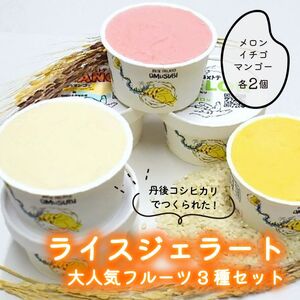 【グルテンフリー・乳不使用】お米でできたライスジェラート 大人気フルーツ6個セット（3種各2個） myz06 myz08 myz11 myz19 myz24 myz26