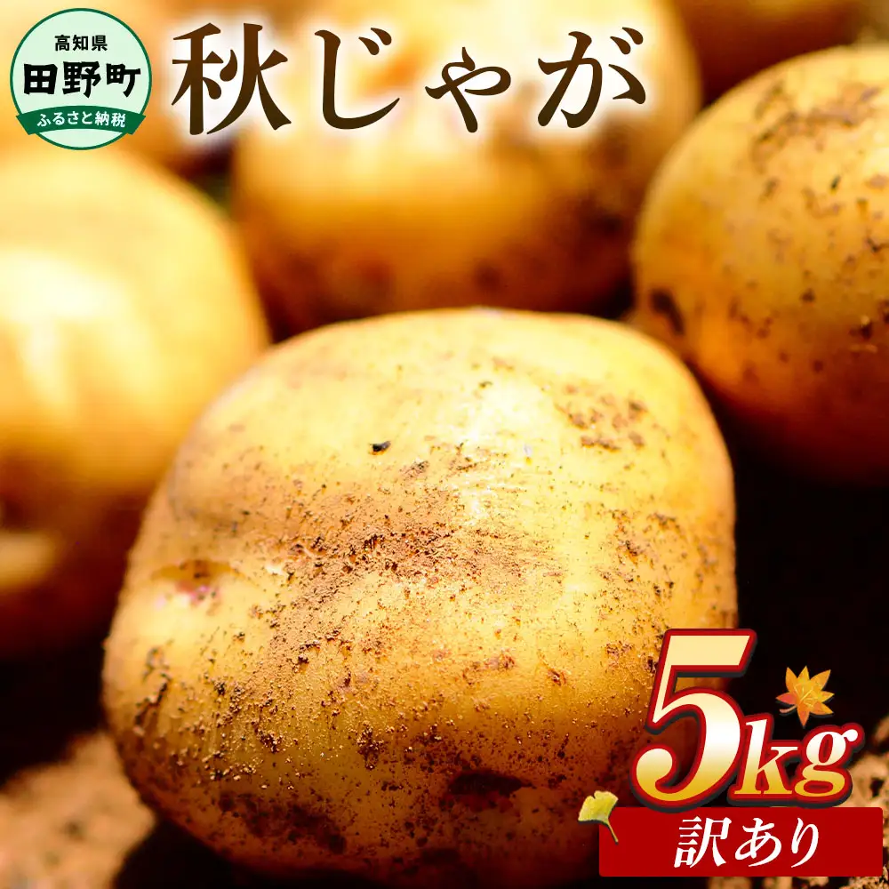 【訳あり】秋じゃがいも 令和8年産 5kg 訳あり 令和8年11月下旬発送開始