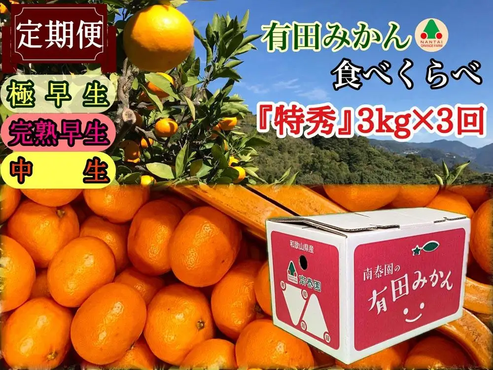 定期便 有田みかん 食べくらべ 3種 みかん 特秀 各 3kg コース 全3回 南泰園 