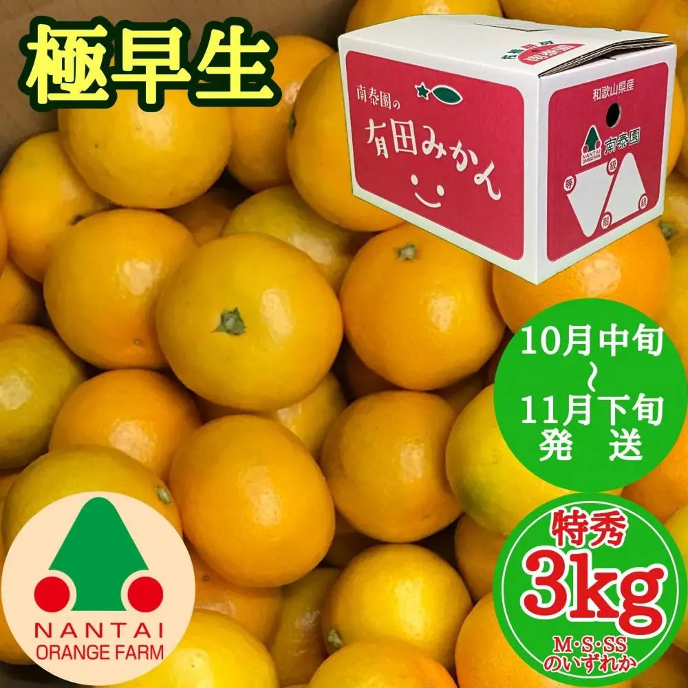 極早生 有田 みかん 特秀 M ～ SS サイズ 3kg 南泰園 和歌山 有田みかん