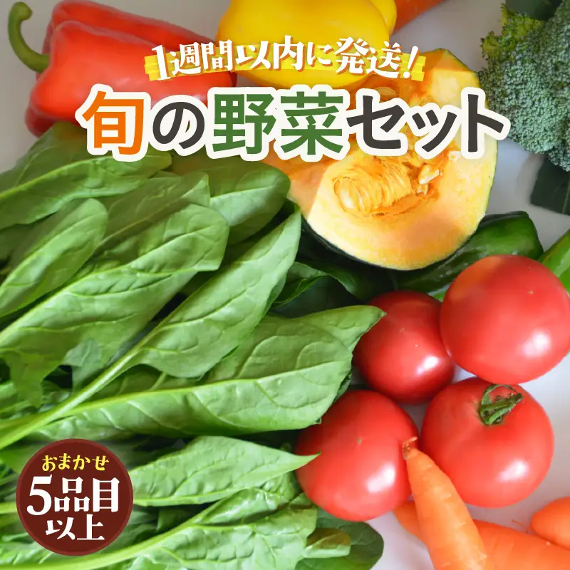【1週間以内で発送！】道の駅駅長チョイス！ 旬の野菜セット 5品目以上 / 季節 野菜 ボックス BOX セット セレクト 農家 おまかせ 多品目 旬 詰め合わせ 根菜 葉物  [aw090-a002]