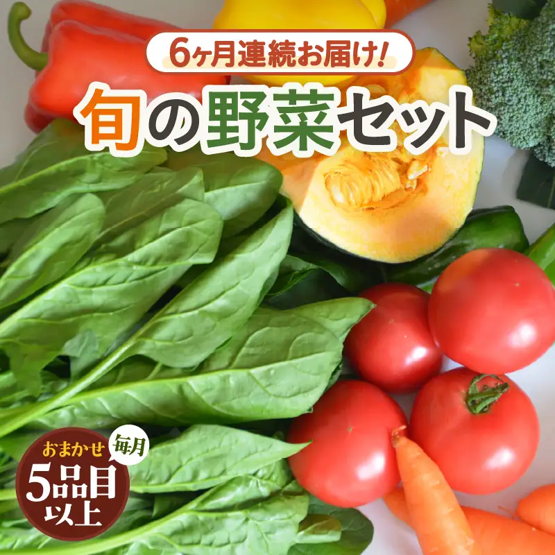 【先行予約】【定期便6回】道の駅駅長チョイス！ 旬の野菜セット 5品目以上 / 季節 野菜 ボックス BOX セット セレクト 農家 おまかせ 多品目 旬 詰め合わせ 根菜 葉物 ※2027年6月上旬より順次発送 [aw090-c001]