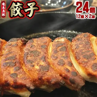【奄美島豚】餃子 24個（12個×2袋・約680g） 豚肉 島豚