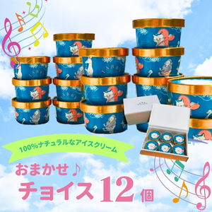 【TABBY ICE CREAM】おまかせチョイス♪ アイスクリーム 12個 セット  