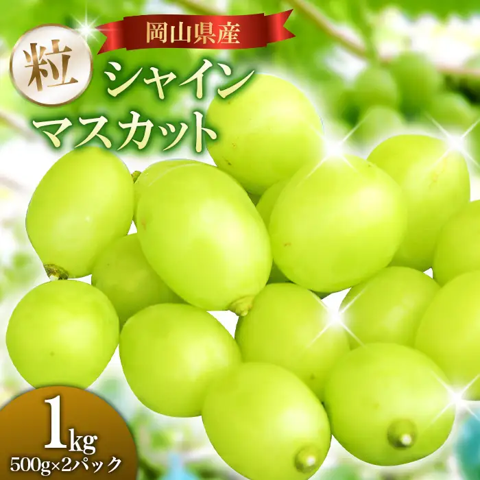 【ご家庭用】岡山県産シャインマスカット バラ粒 1kg（500g×2パック）