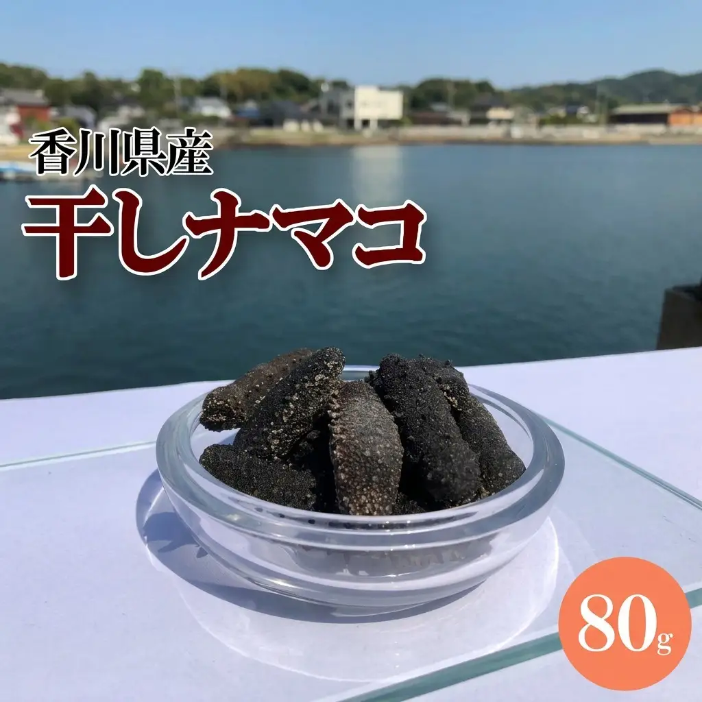 干しナマコ 魚貝類 加工食品 
