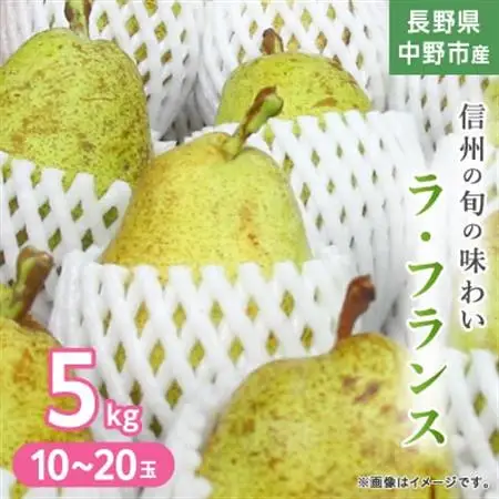 長野県中野市産　旬の洋梨ラ・フランス5kg10～20玉【1515046】