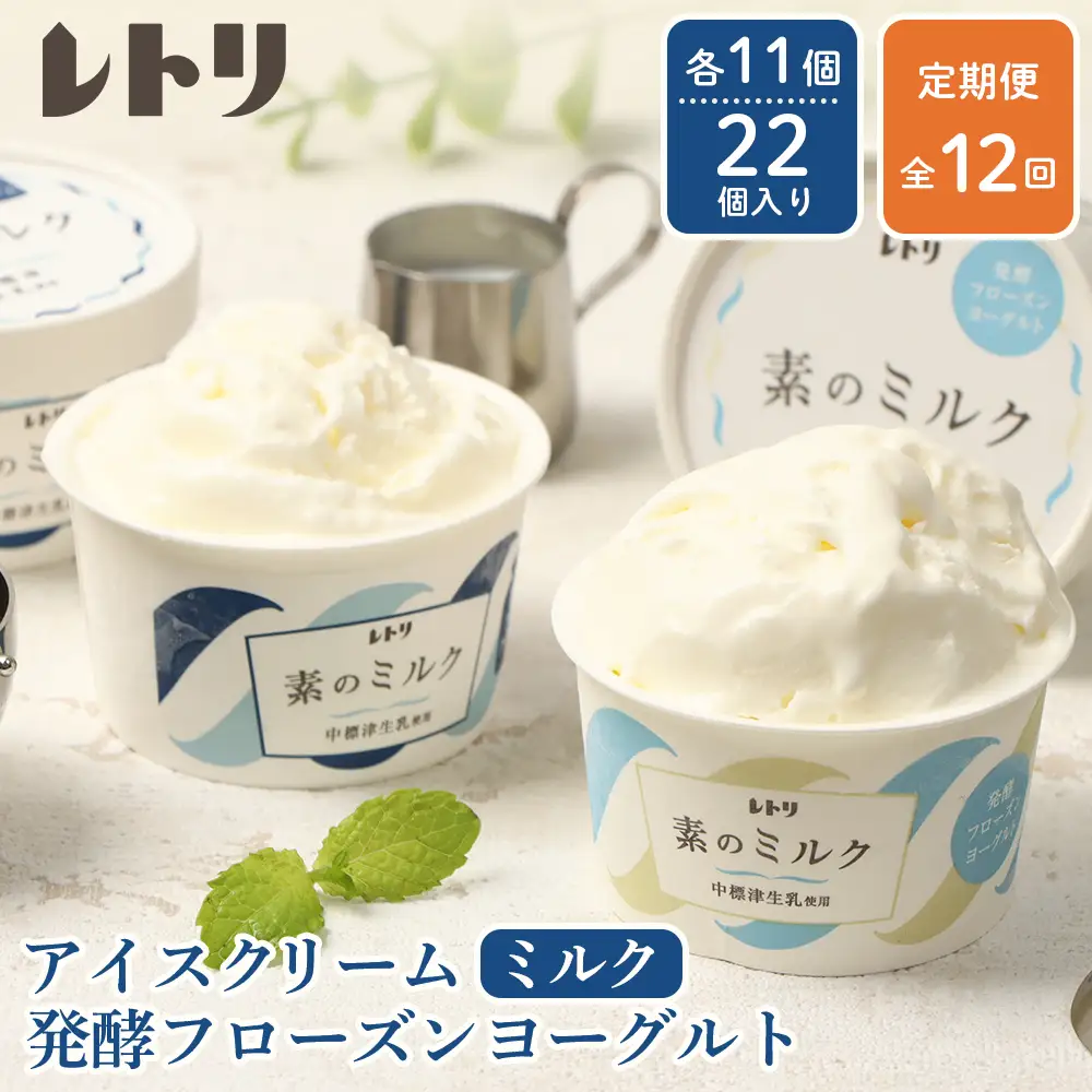 北海道 プレミアムミルクアイスクリーム×11個とフローズンヨーグルト×11個セット計２２個　12ｶ月定期便【1115802】