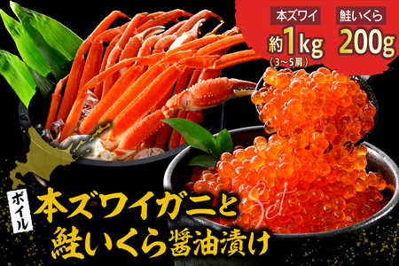 本ズワイガニ 3肩～5肩（約1kg）と北海道産鮭いくら醤油漬け200g【er018-027】ずわいがに いくら ずわい蟹 イクラ ズワイガニ いくら?油漬け ずわい 鮭いくら 蟹 カニ 魚卵 魚介類 魚介 海鮮 海の幸 海産物 産地直送 北海道 えりも町