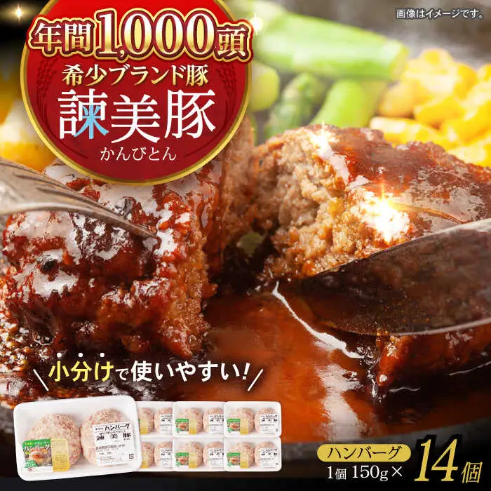 諫美豚ハンバーグ 14個(各150g) 計2.1kg / 豚肉 ハンバーグ はんばーぐ おかず 惣菜 冷凍 / 諫早市 / 土井農場 [AHAD052]